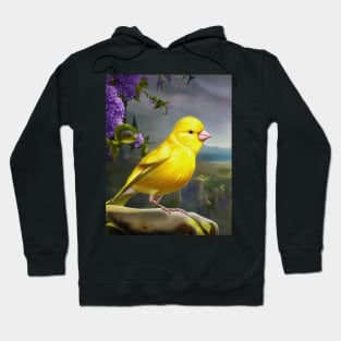 canary Mountain Hoodie